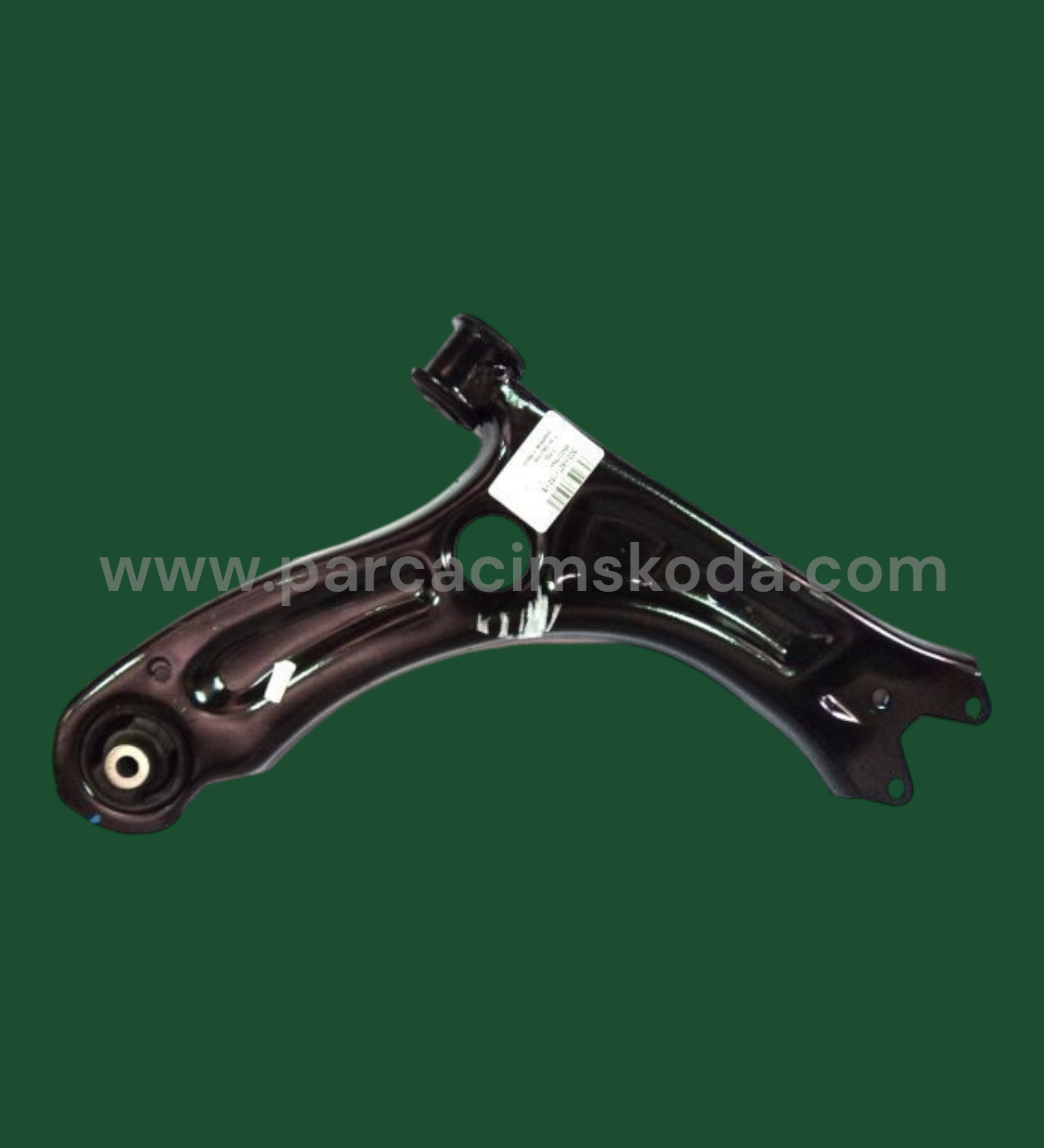 SALINCAK L  Çıplak