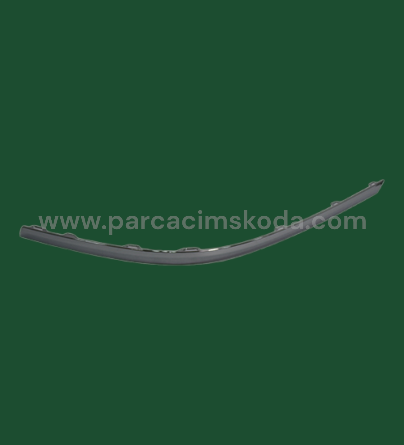 TAMPON ÇITASI ARKA   L  ( Krom )