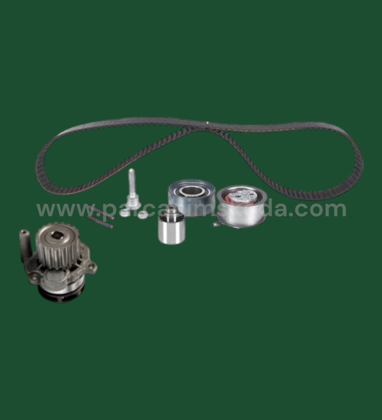 TRİGER SETİ & SU POMPASI ( DAYCO Kayışlı )