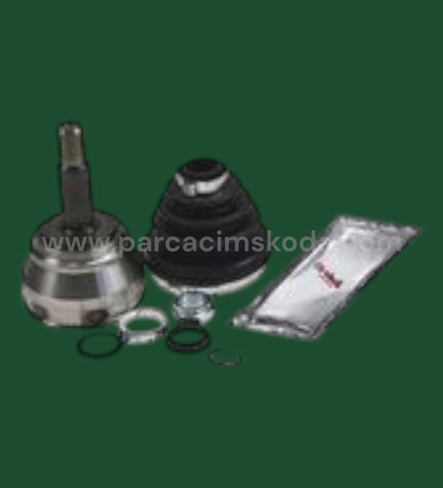 AKS LALESİ  KİT