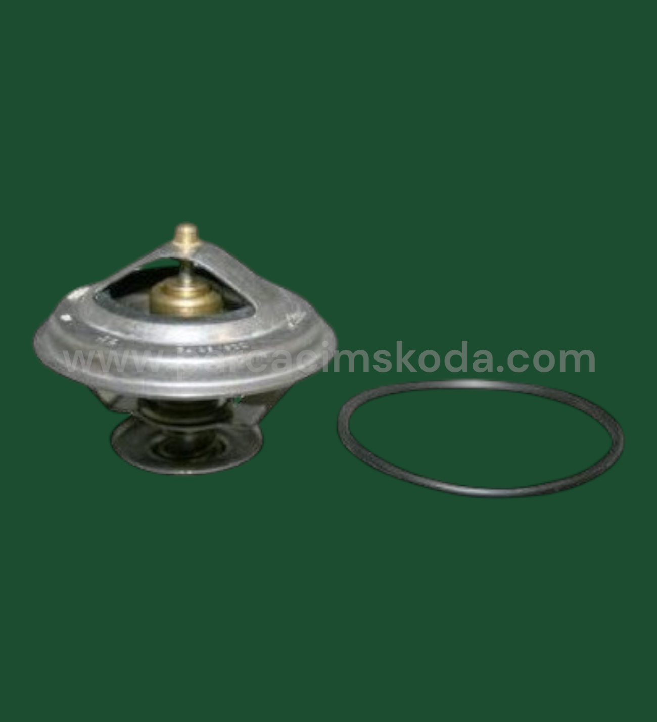 TERMOSTAT & O-RİNG  87 C