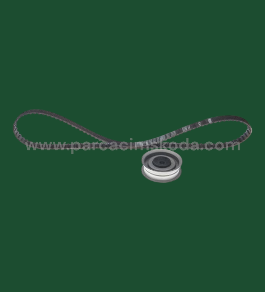 TRİGER SETİ  ( DAYCO Kayışlı )