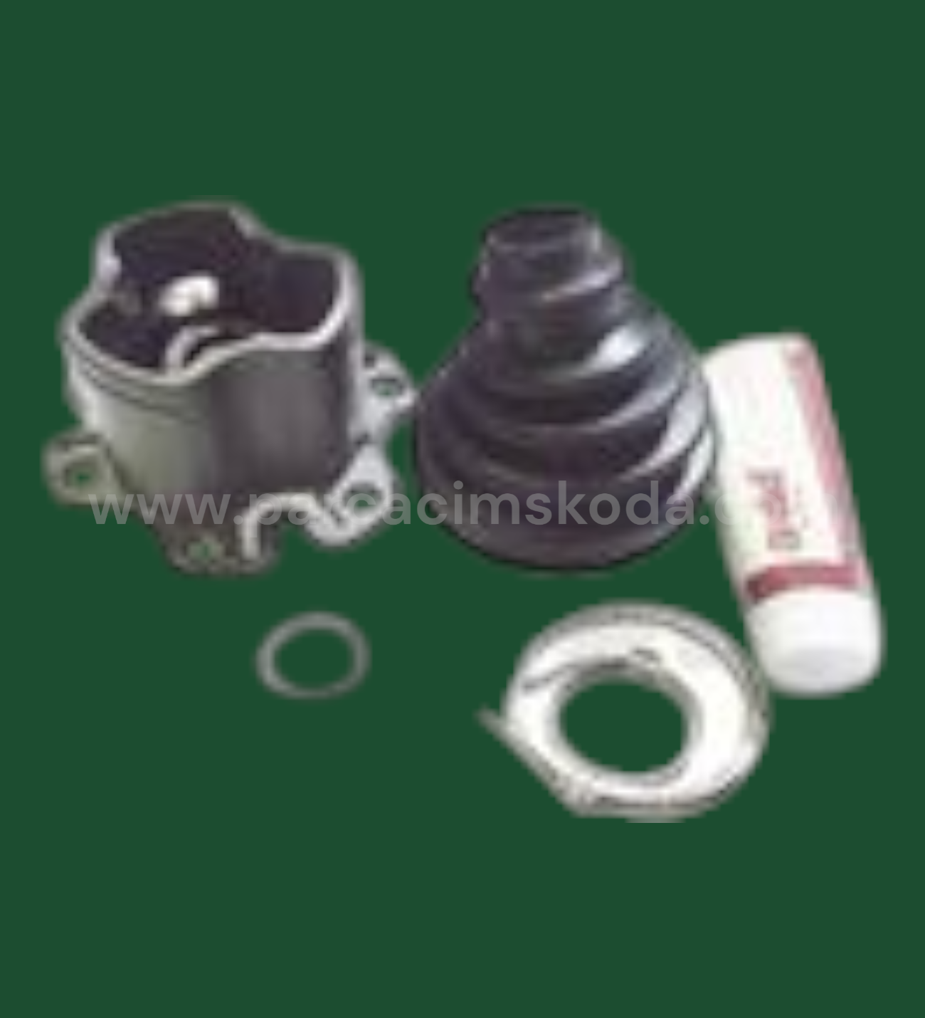 AKS LALESİ İÇ KİT