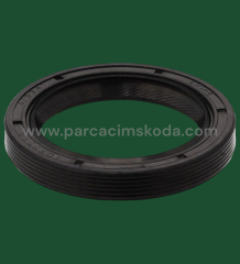 AKS KEÇESİ SKT FAVORİT FELİCİA 40X55X8
