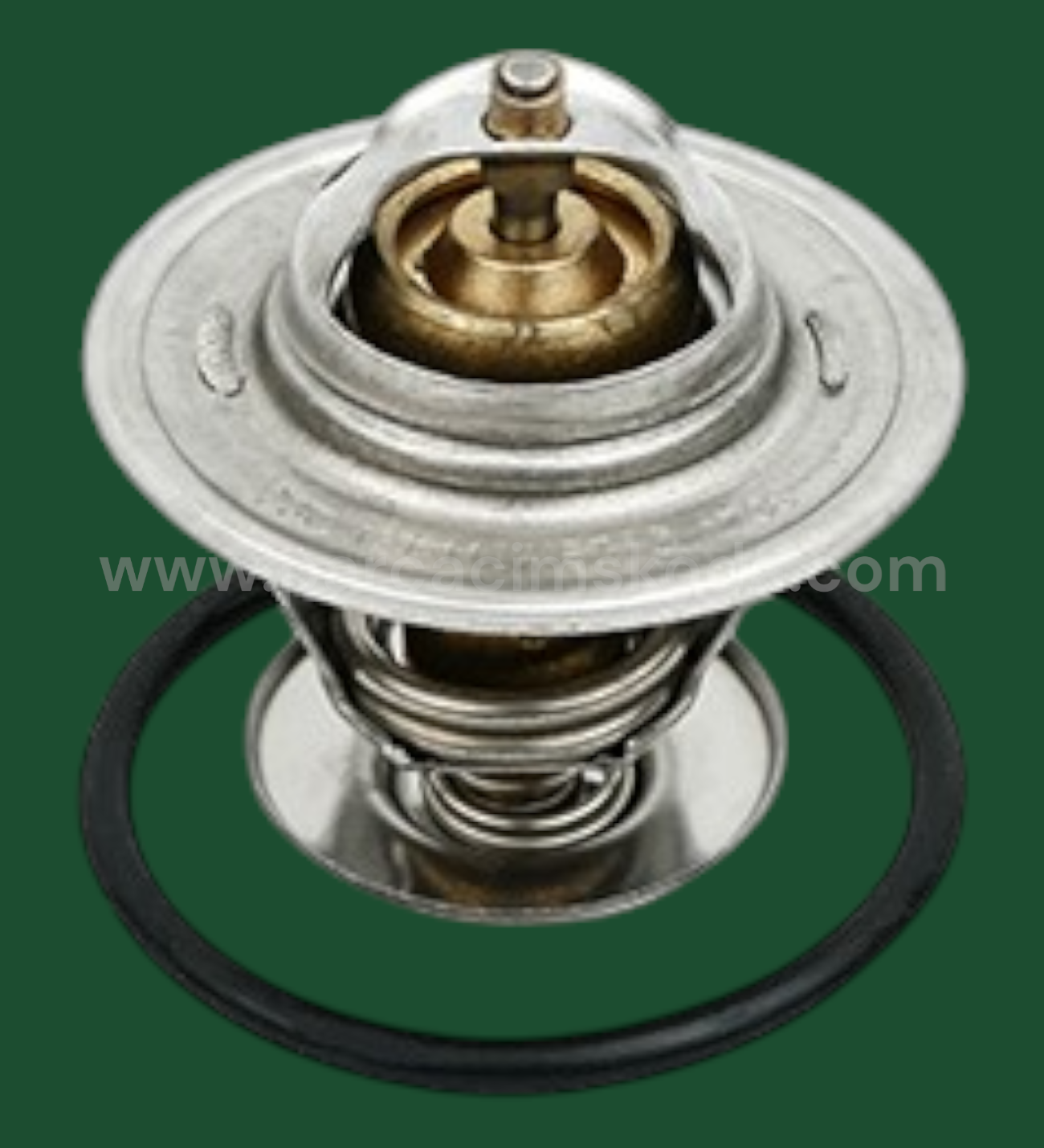 TERMOSTAT   87-102 C