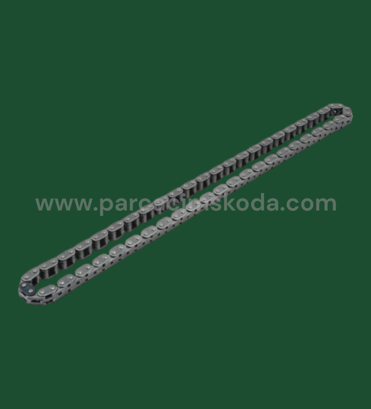 EKSANTRİK ZİNCİRİ