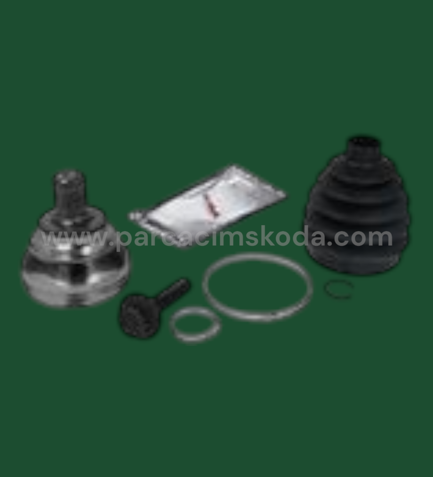 AKS LALESİ  KİT