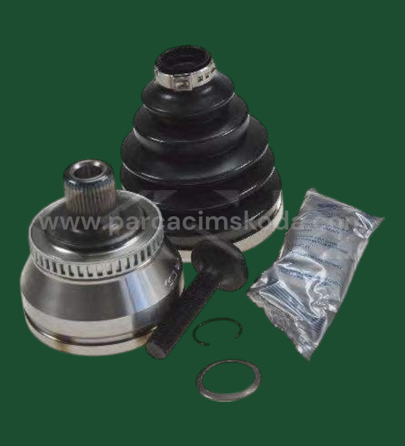 AKS LALESİ DIŞ KİT