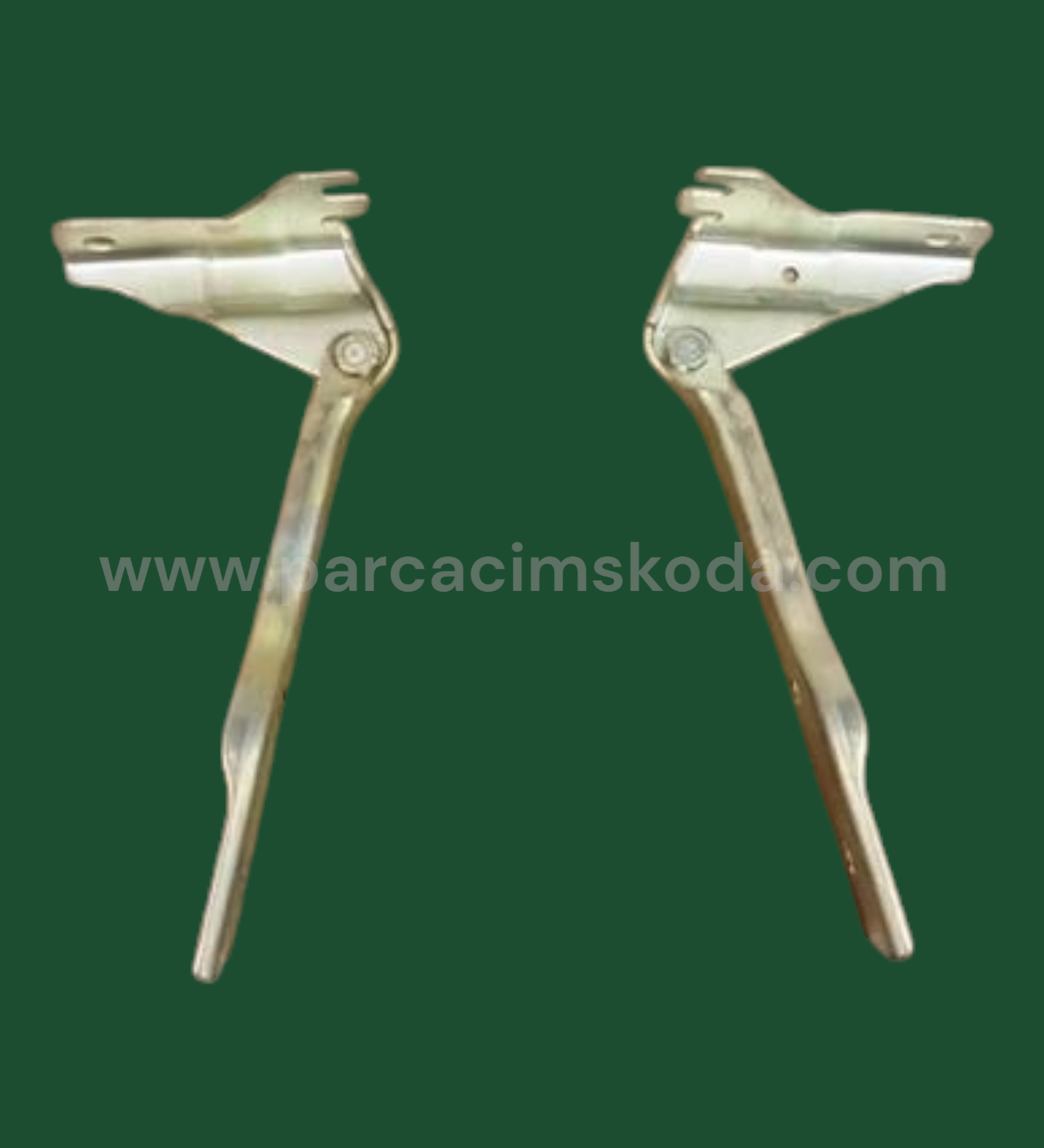 MOTOR KAPUT MENTEŞE L