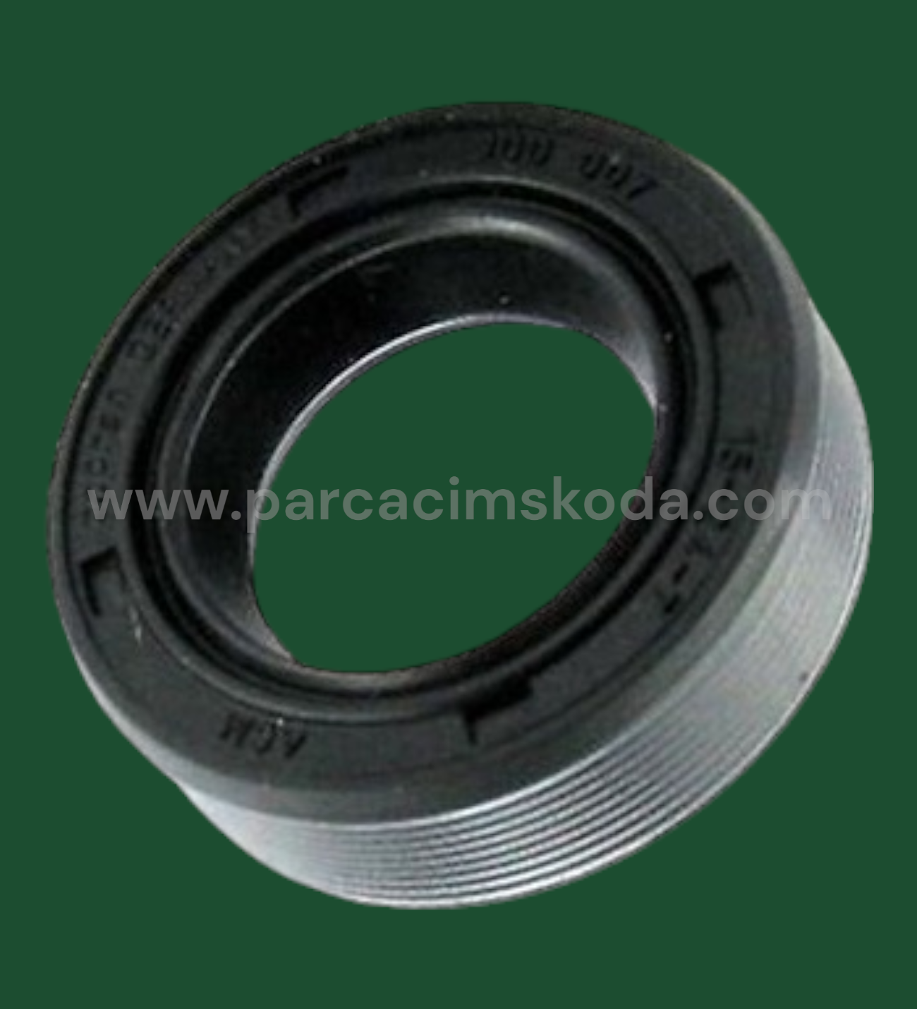 ŞANZIMAN KEÇE (24X15X7)