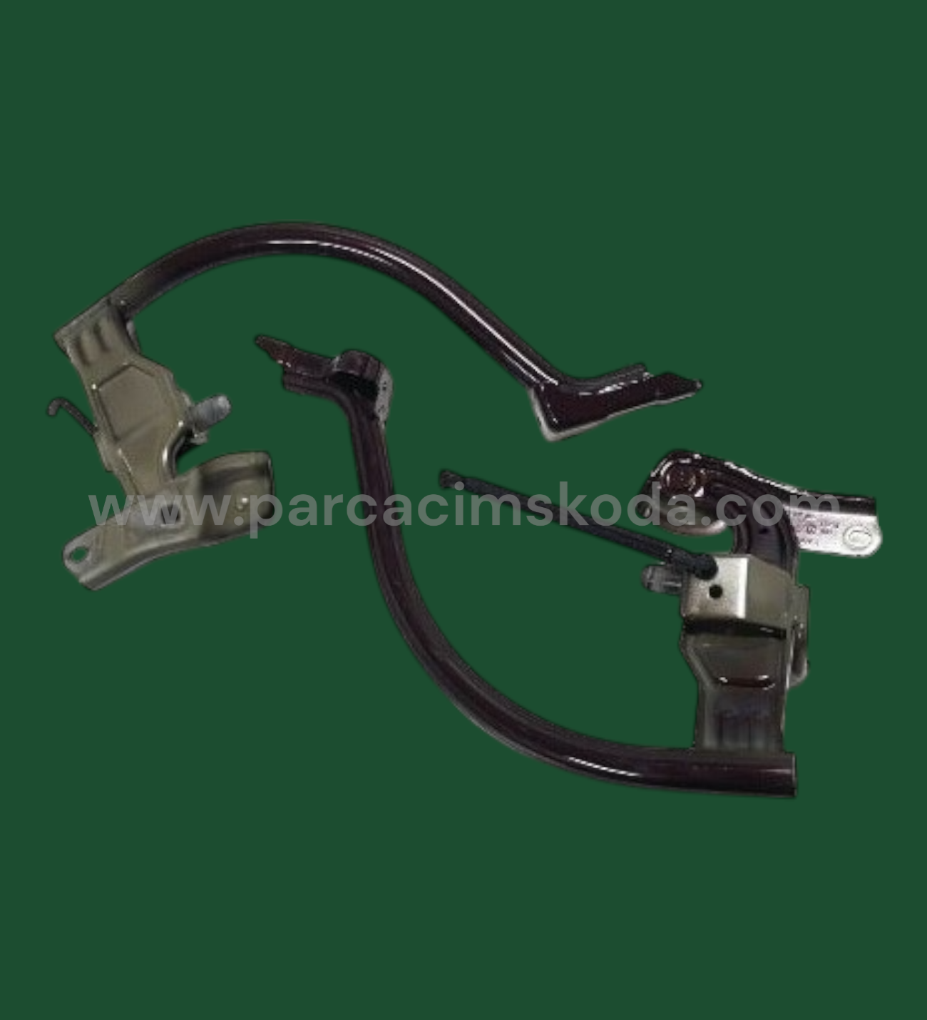 BAGAJ KAPAK MENTEŞESİ   L