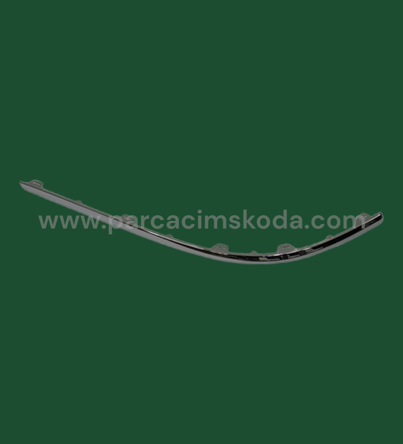 TAMPON ÇITASI ARKA L ( Krom )