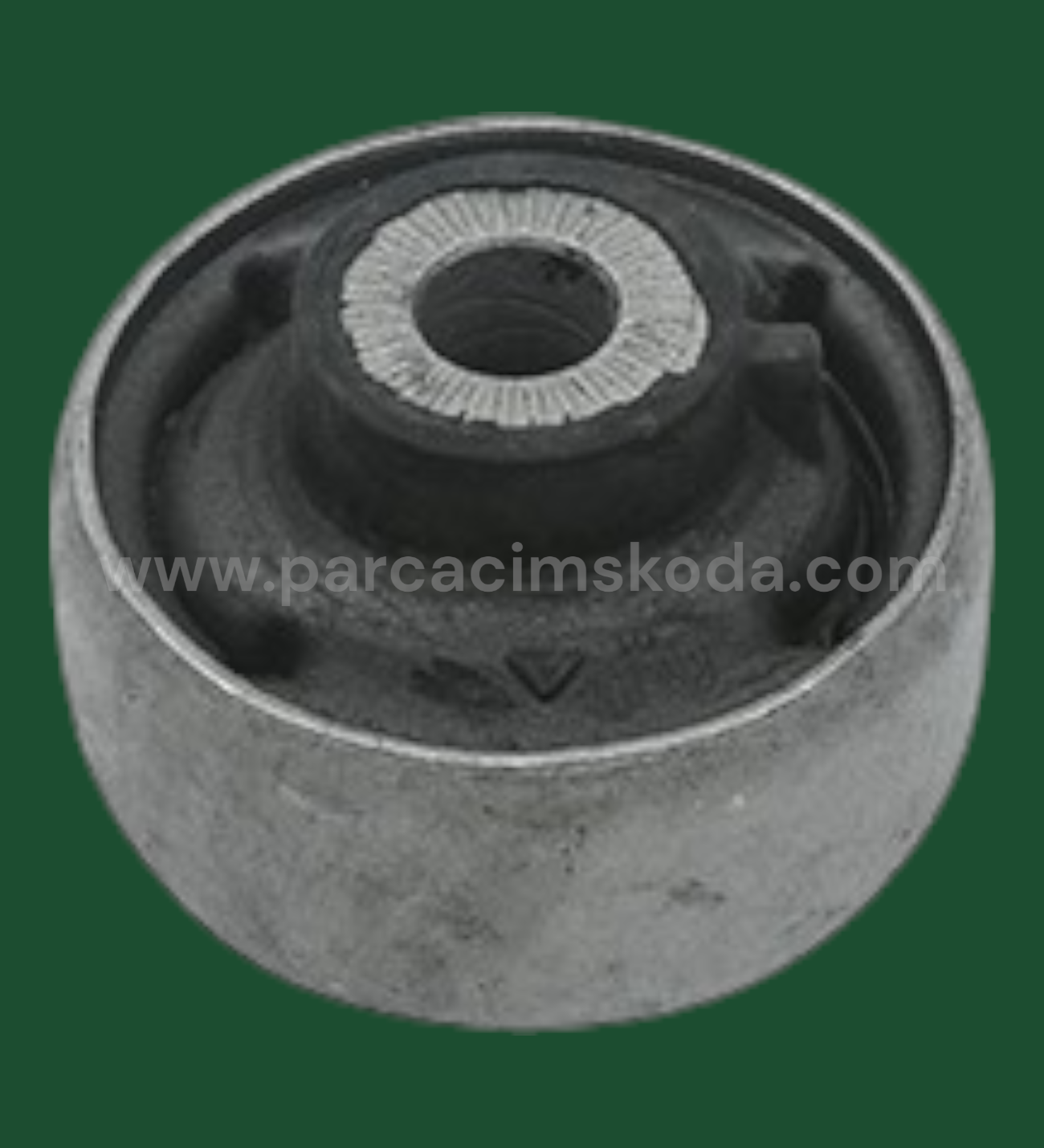 SALINCAK BURCU  ARKA