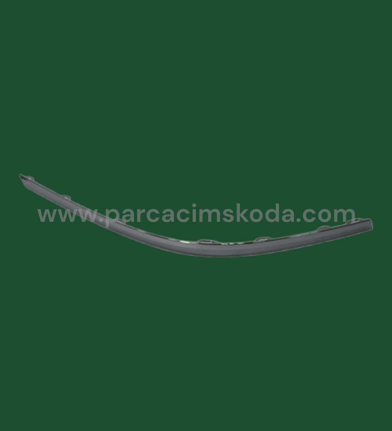 TAMPON ÇITASI ARKA   R  ( Krom )
