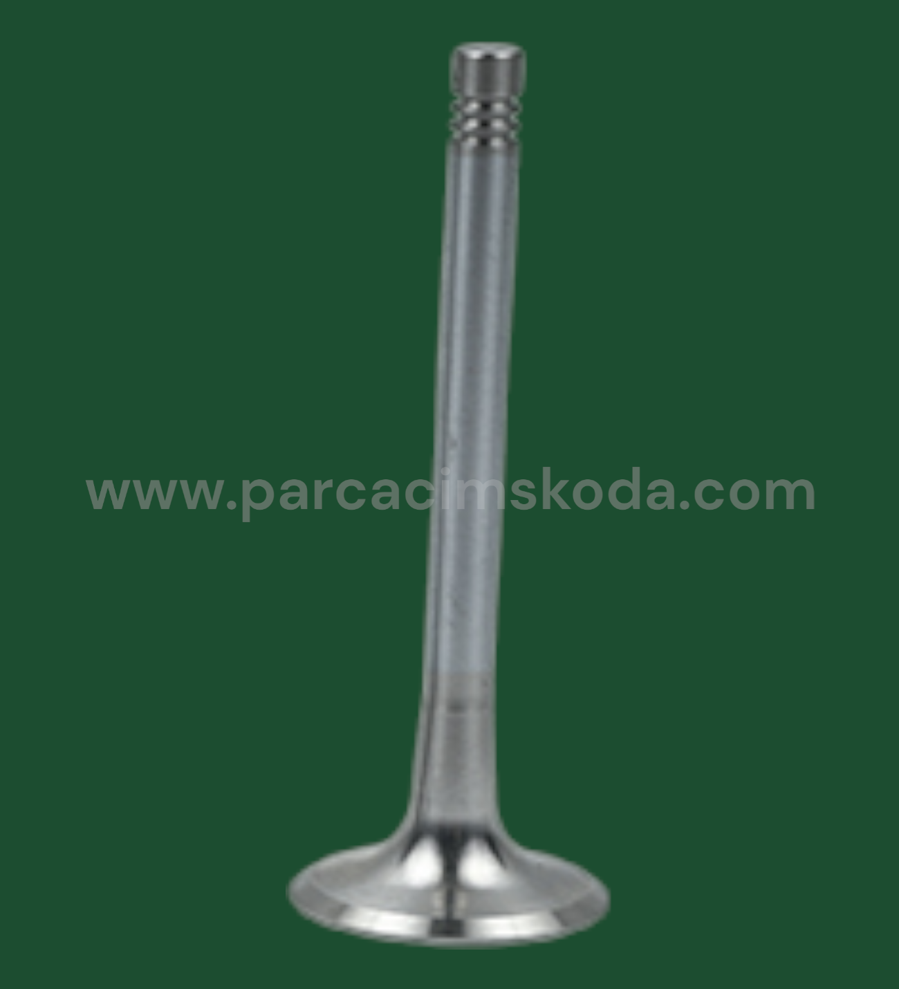 SUBAP EGSOZ ( Adet )