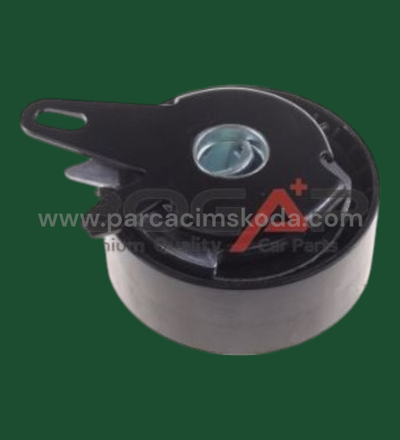 TRİGER GERGİ RULMANI