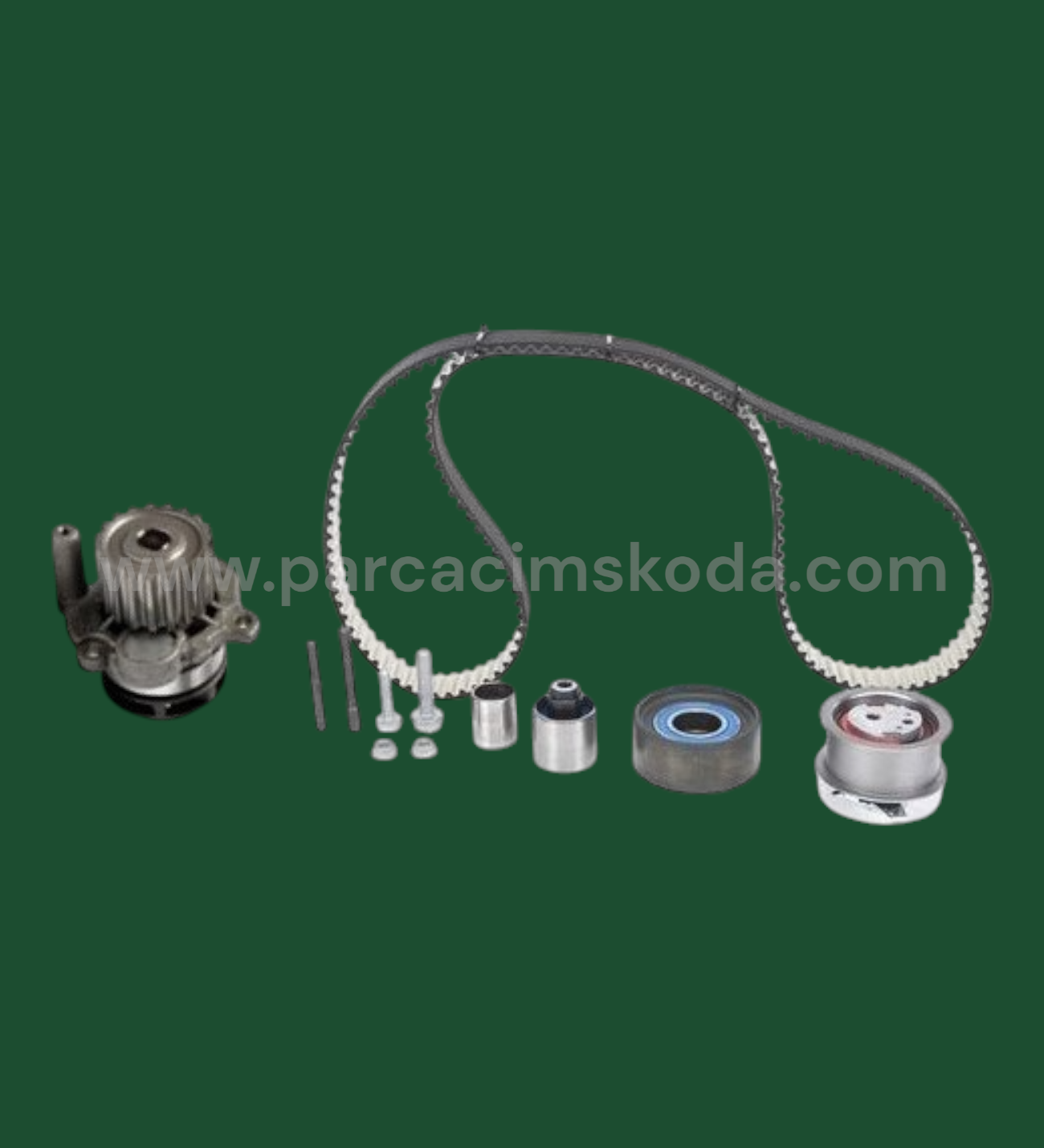 TRİGER SETİ & SU POMPASI ( DAYCO Kayışlı )