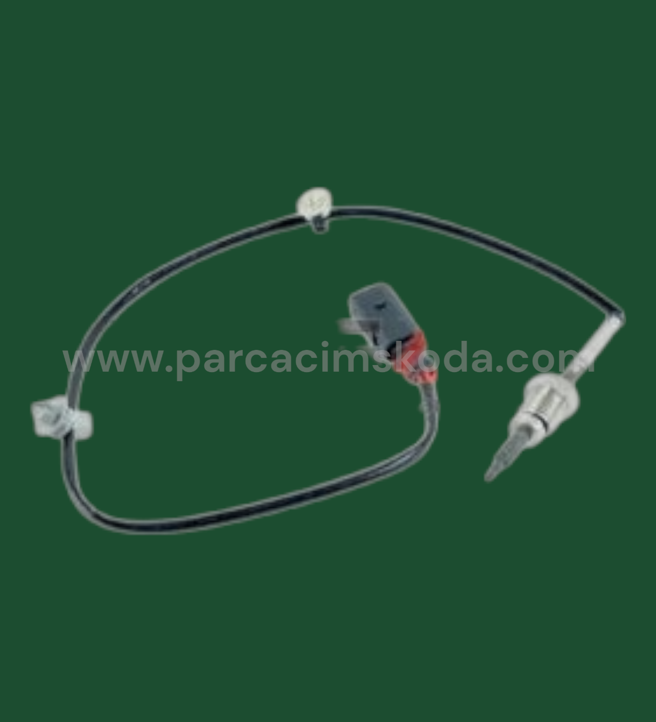 EGZOZ SICAKLIK SENSÖRÜ ÖN  ( DELPHI Typ )