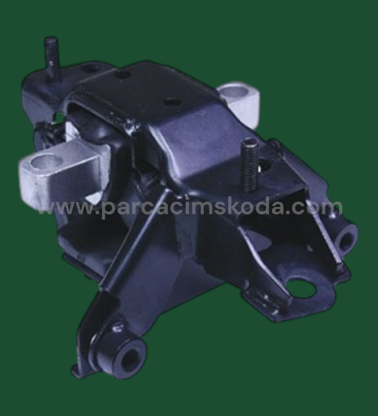 ŞANZIMAN KULAĞI ARKA  L