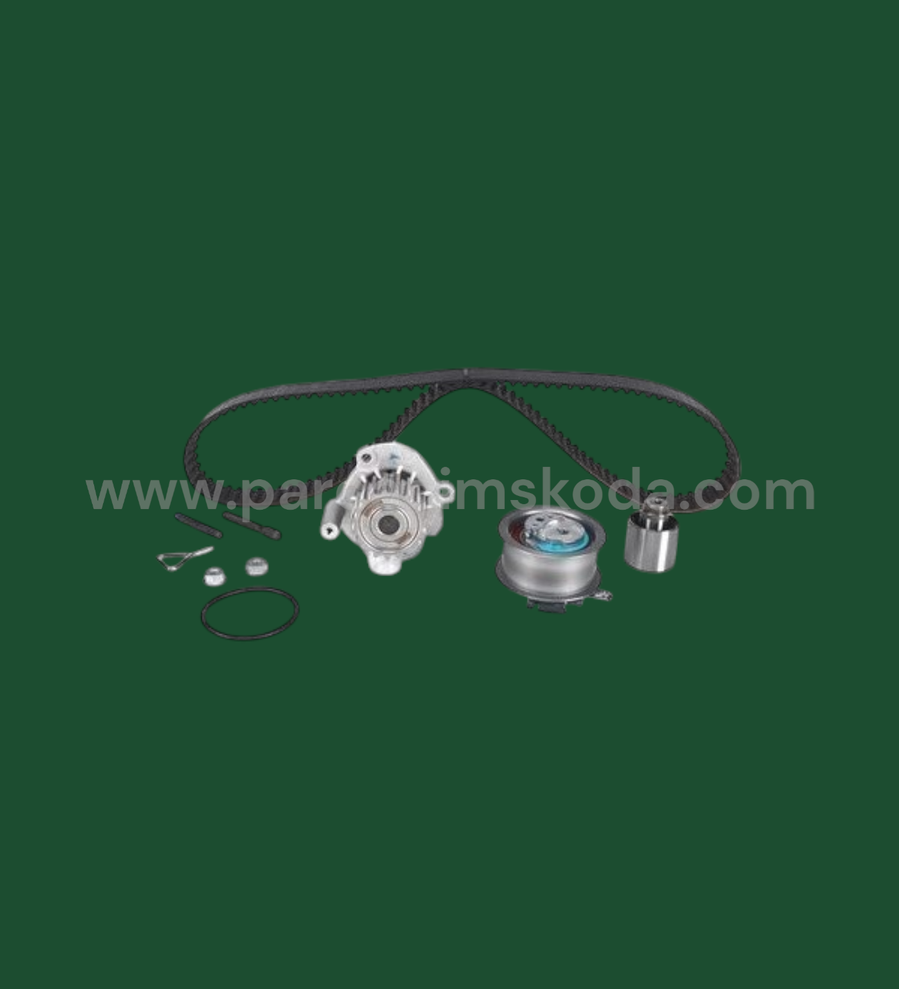 TRİGER SETİ & SU POMPASI ( DAYCO Kayışlı )