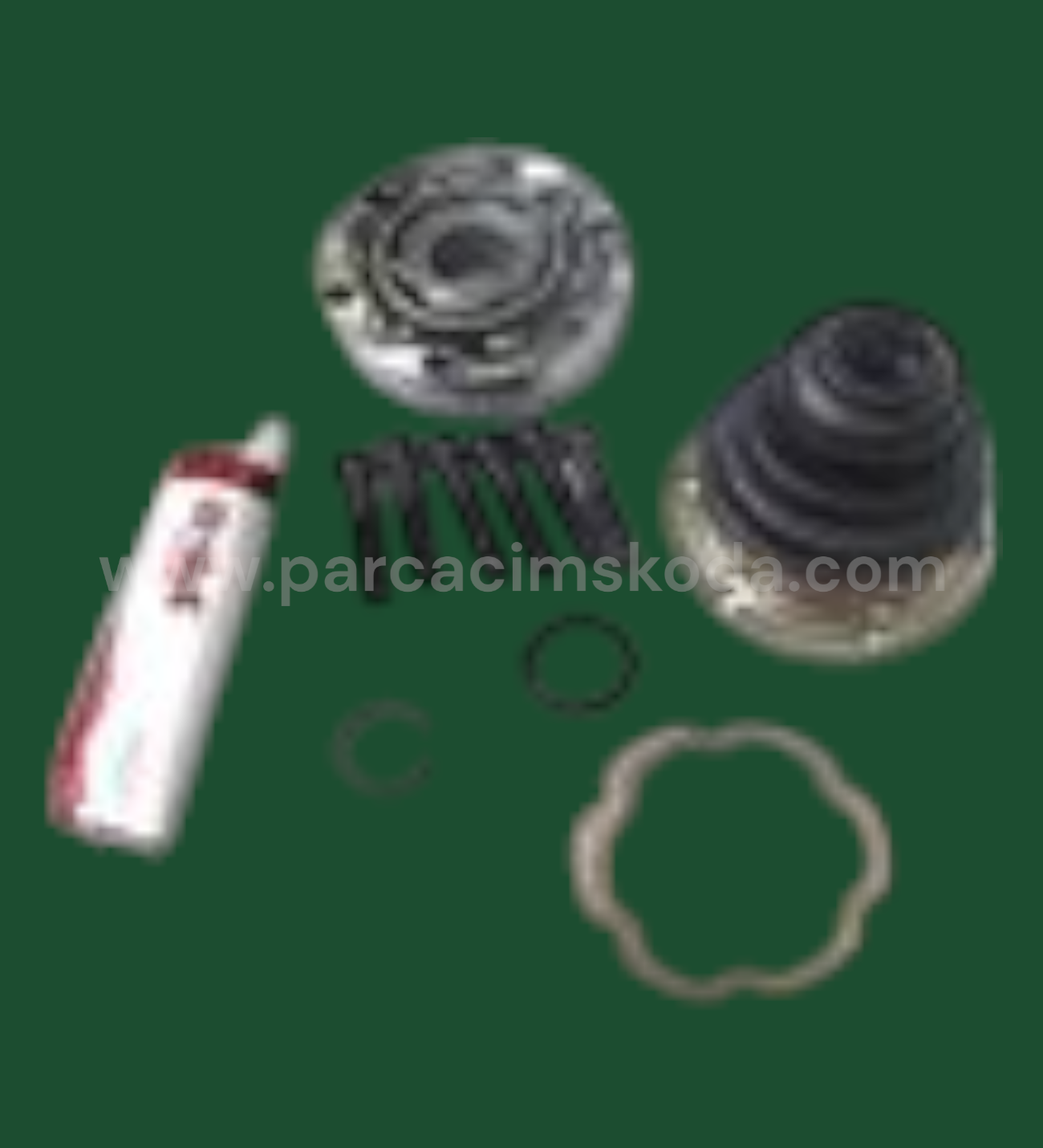 AKS LALESİ İÇ KİT