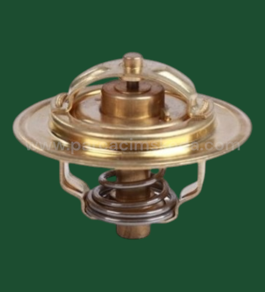 TERMOSTAT 74 C WAHLER Typ.