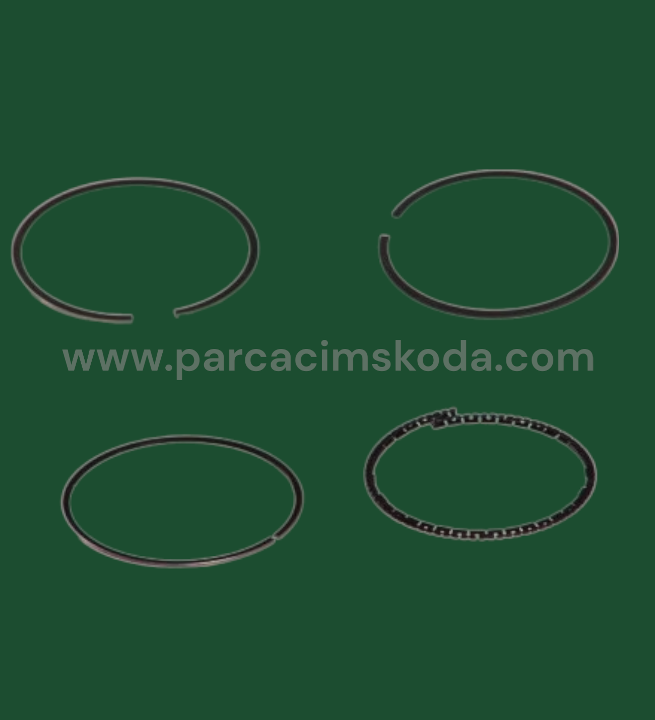 SEGMAN TAKIM 047107301B FAVORİT FELİCİA