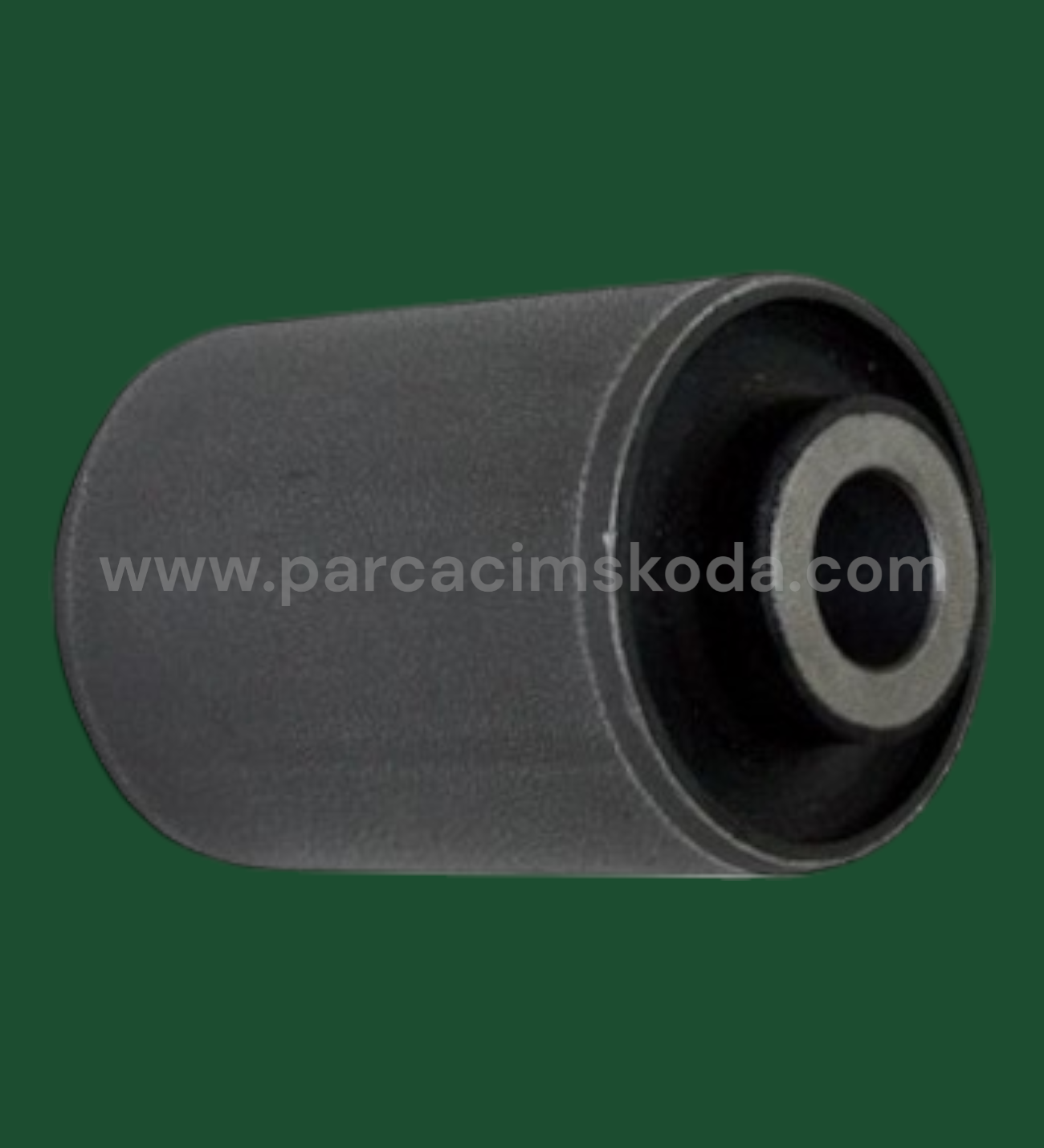 SALINCAK BURCU ALT (  Büyük )