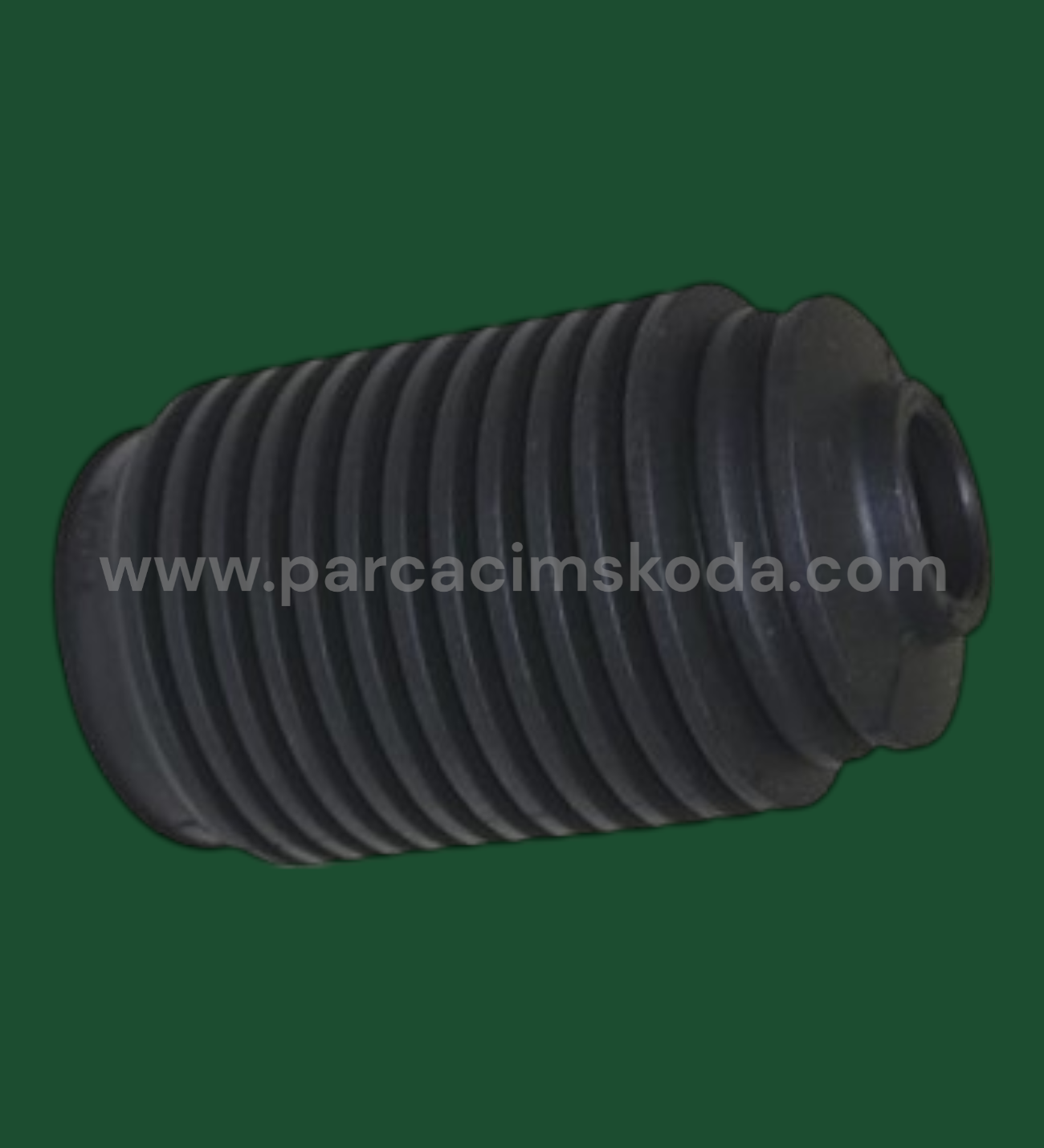 DİREKSİYON KÖRÜĞÜ