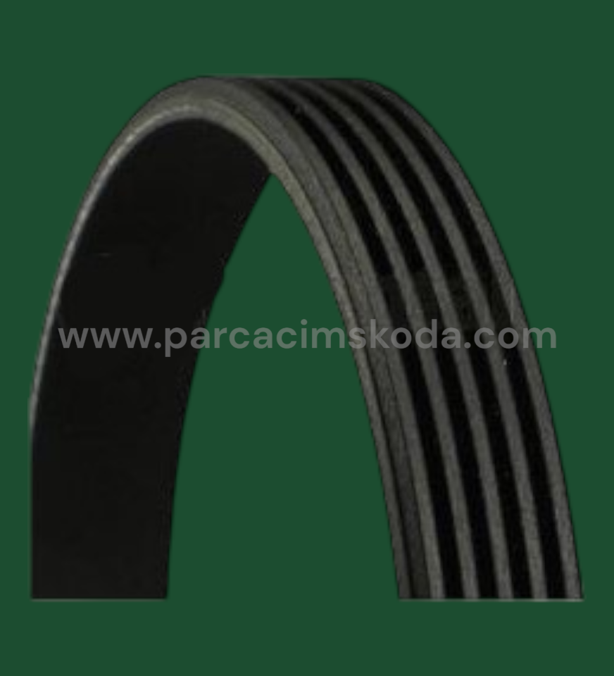 ŞARJ KAYIŞI GOLF - JETTA - A3  ( 5PK491 ) 03C145933A