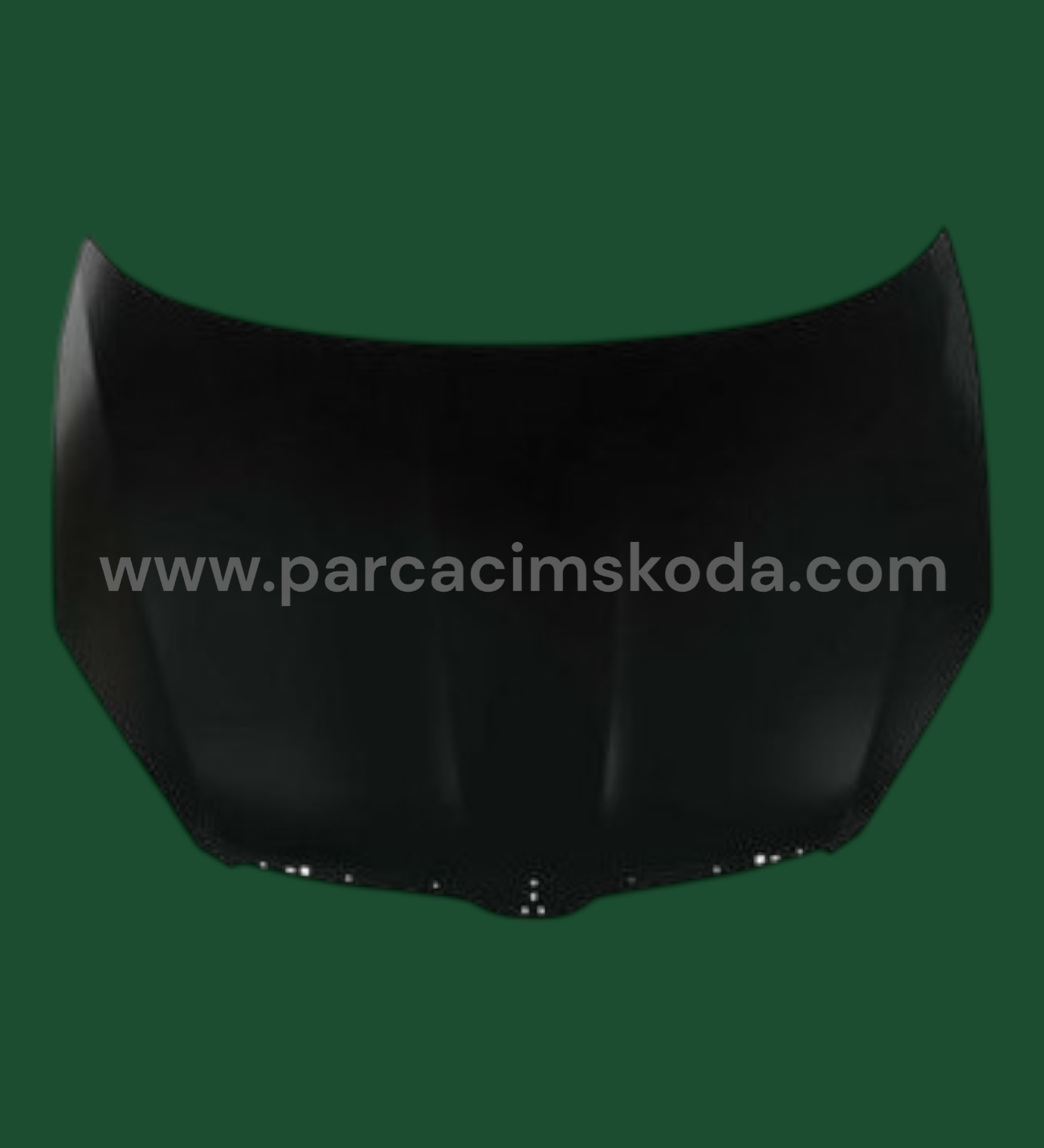 MOTOR KAPUTU  ( THATCHAM CERTIFIED ) TONG YANG