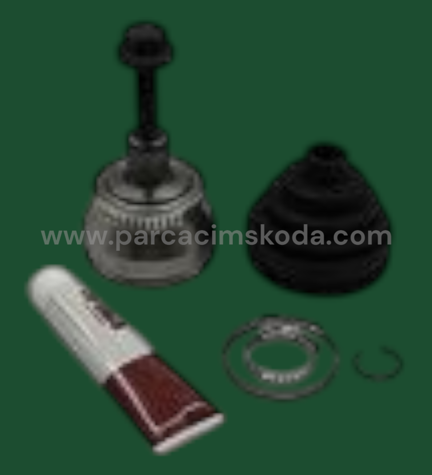 AKS LALESİ  KİT
