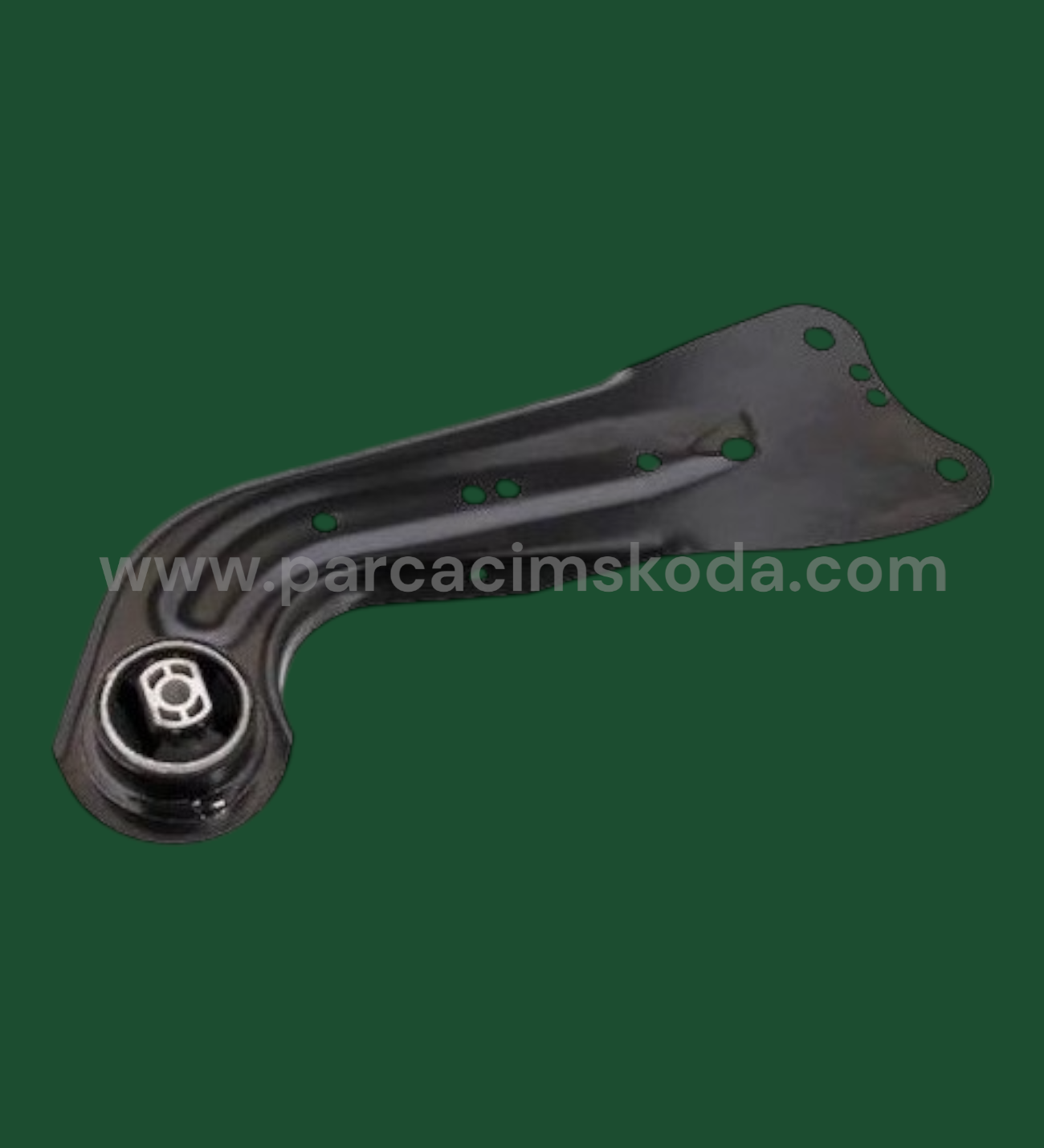 SALINCAK KOLU ARKA R