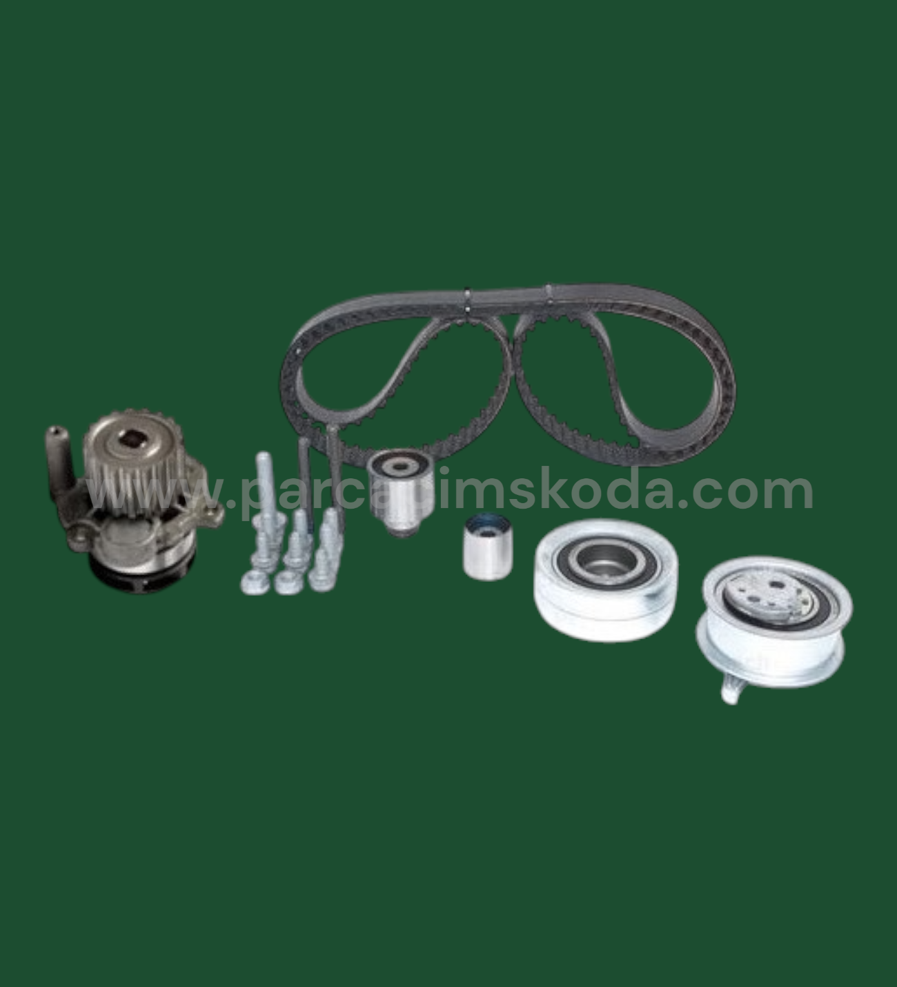 TRİGER SETİ & SU POMPASI ( DAYCO Kayışlı )