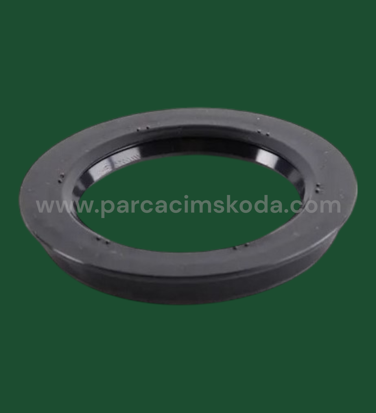 PORYA KEÇESİ   ARKA