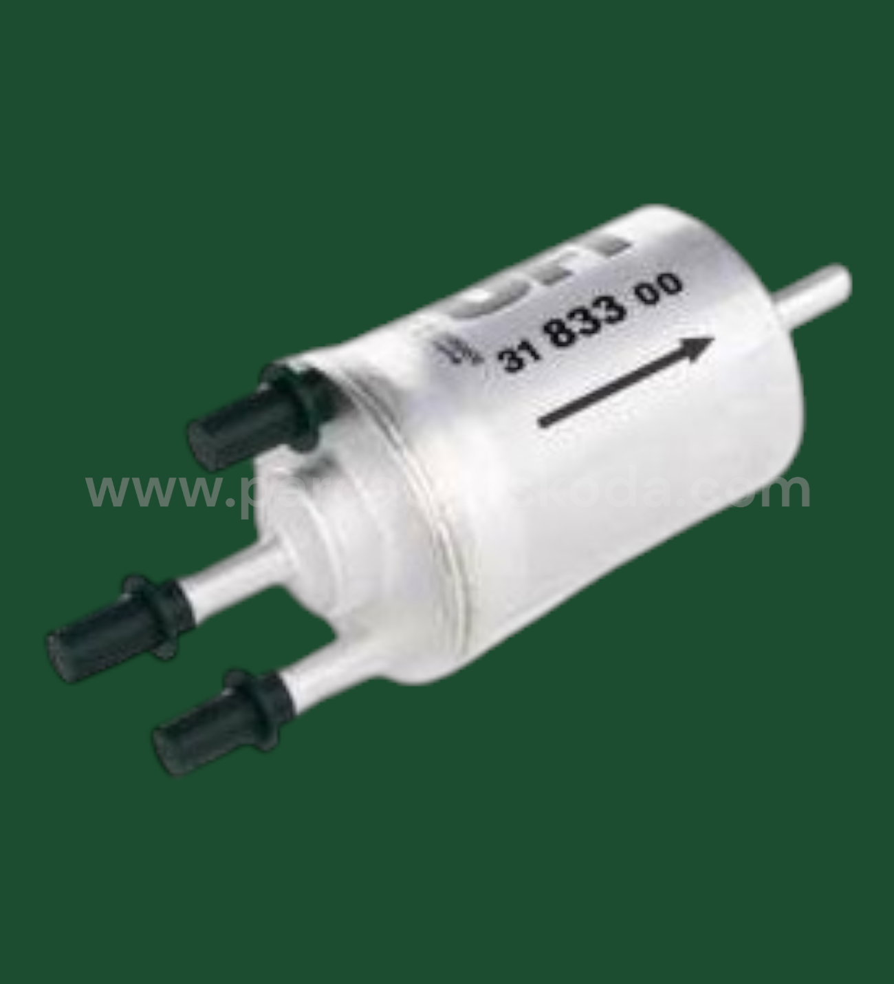 BENZİN FİLTRESİ  ( 4 Bar )