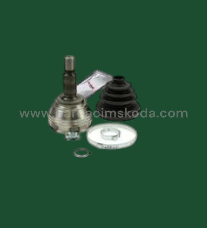 AKS LALESİ  KİT
