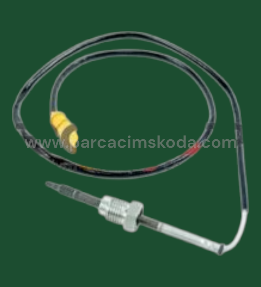 EGZOZ SICAKLIK SENSÖRÜ ARKA  ( DELPHI Typ )