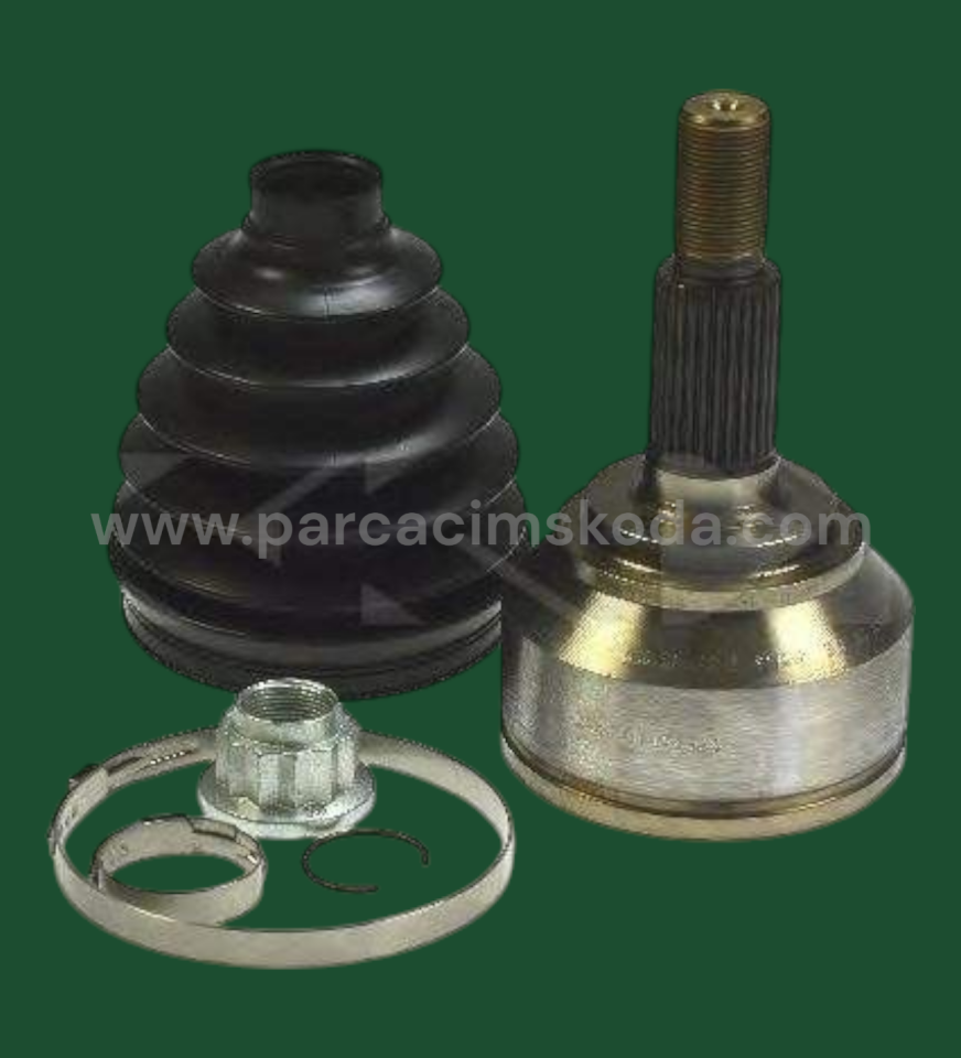 AKS LALESİ  KİT