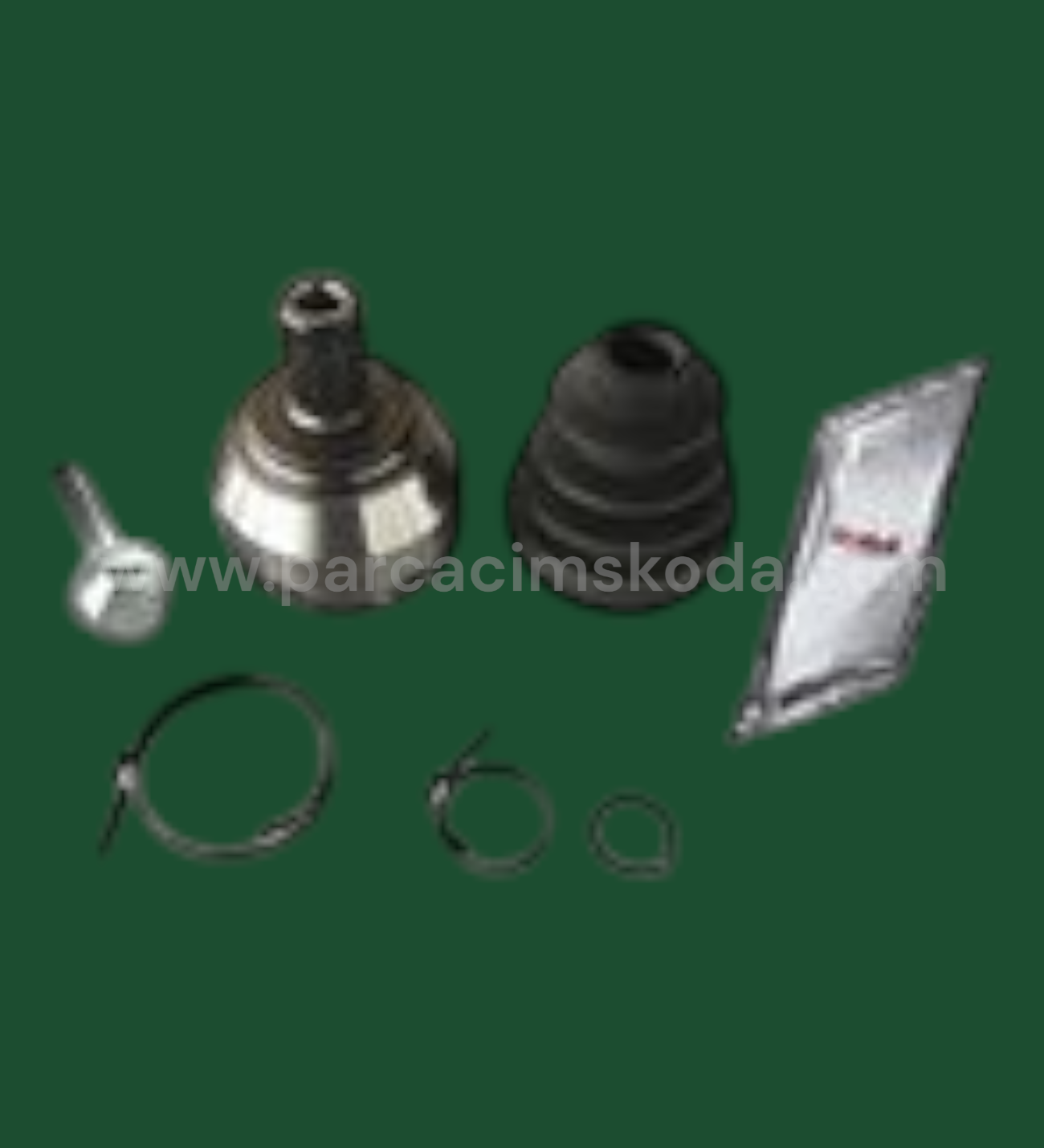AKS LALESİ  KİT
