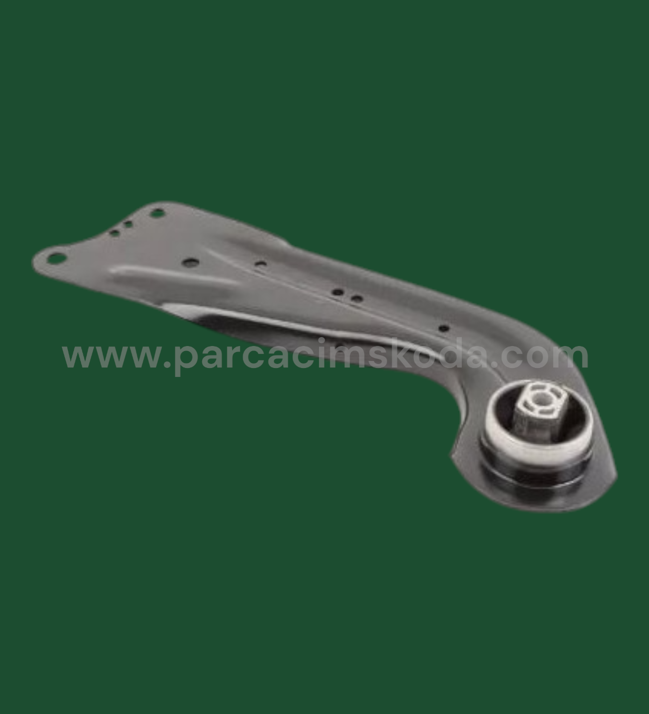 SALINCAK KOLU ARKA L