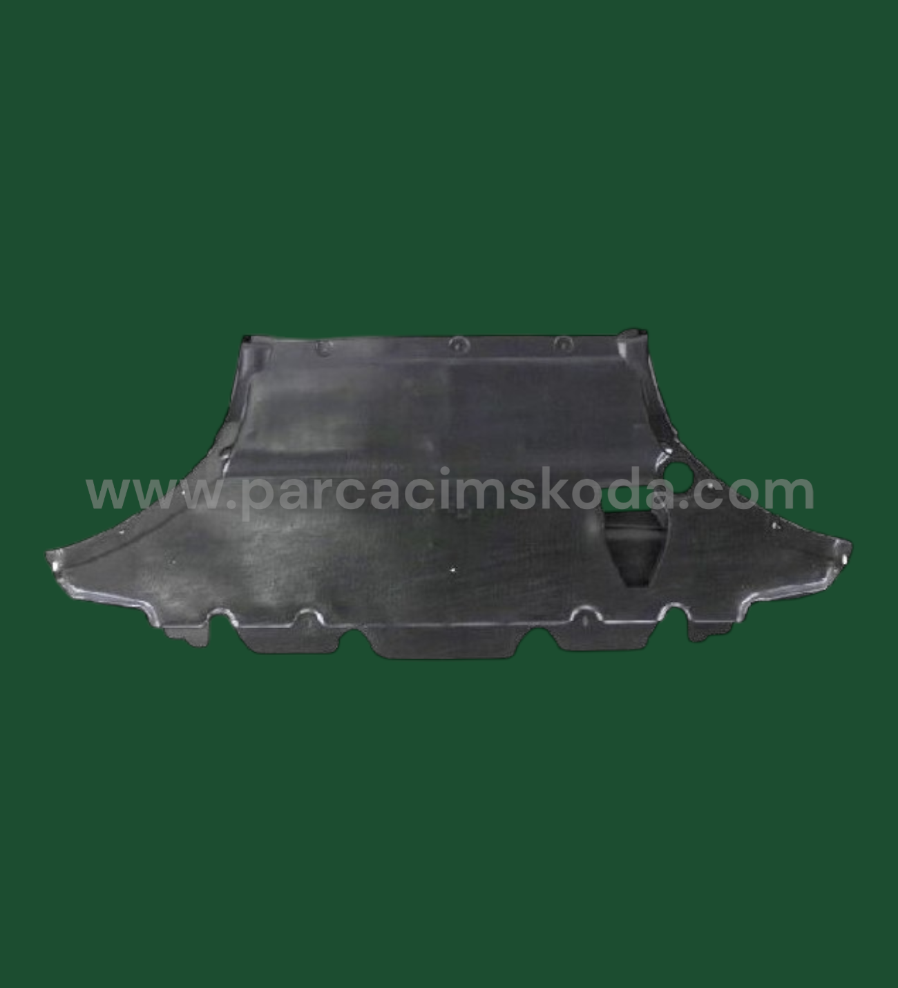 KARTER KORUYUCU ( 8K0863821AB )