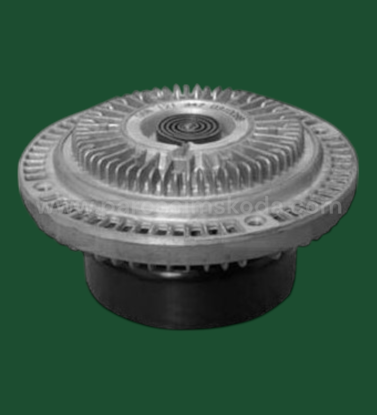 FAN TERMİĞİ & KASNAĞI