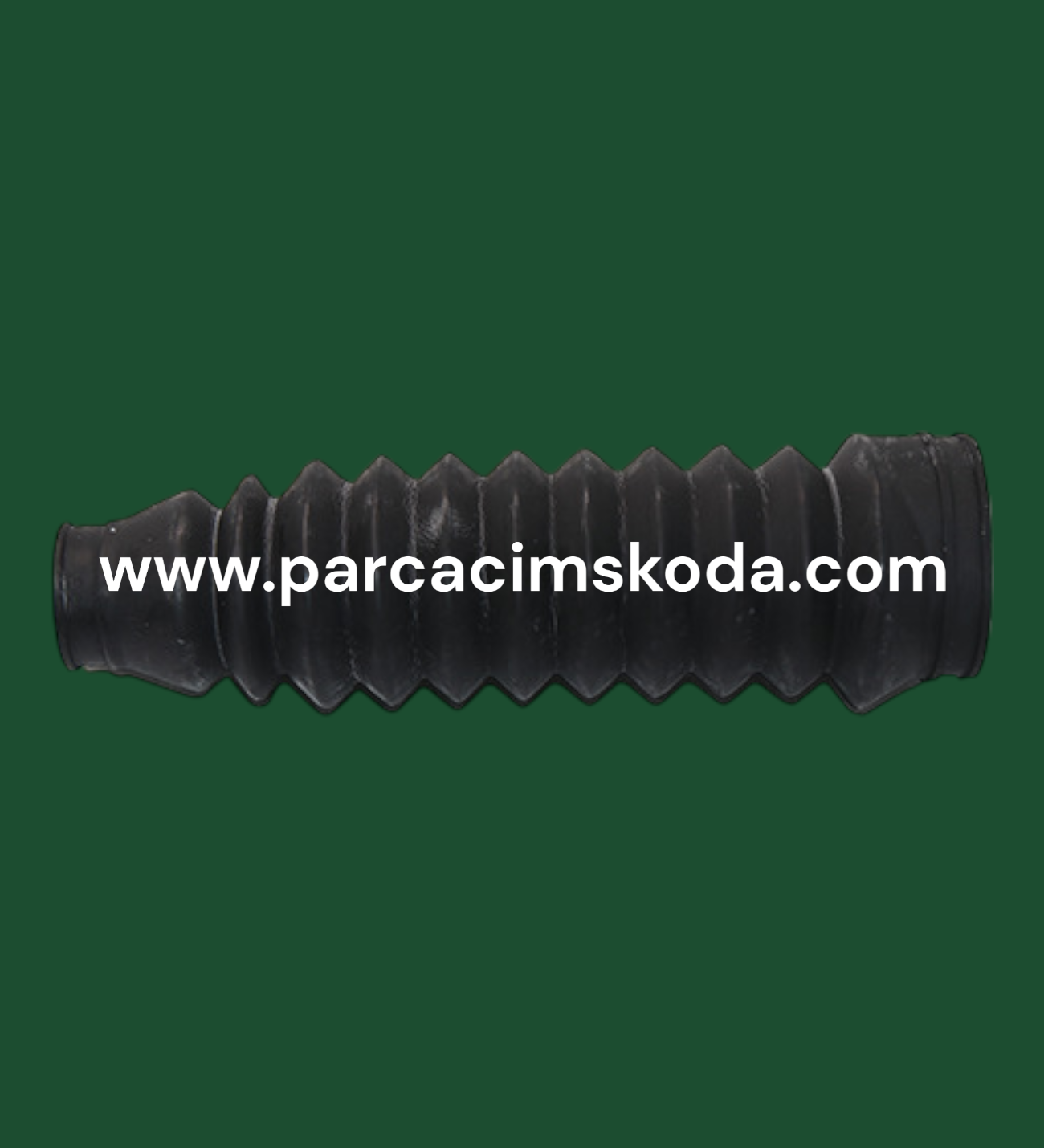 DİREKSİYON KÖRÜĞÜ