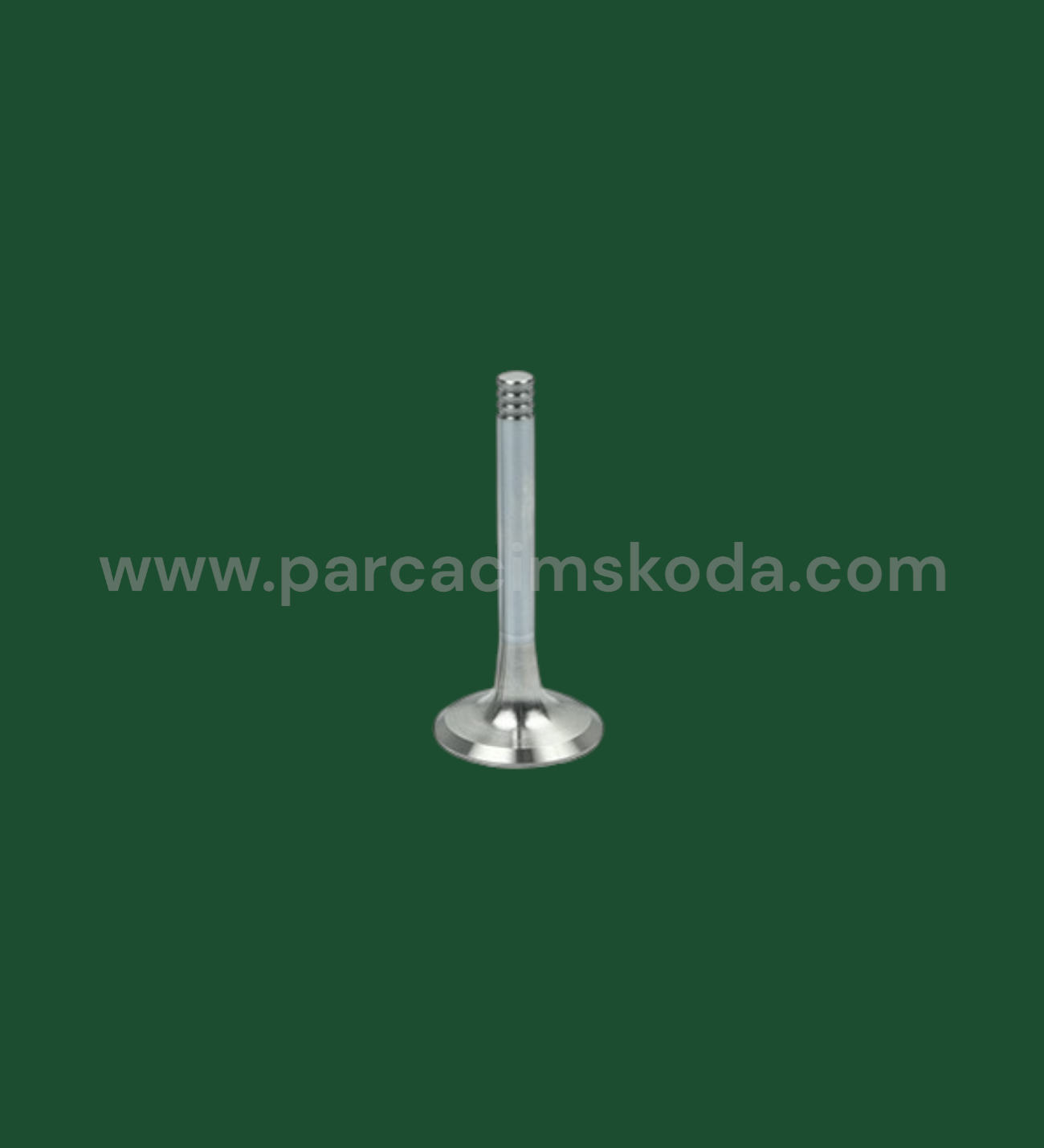 SUBAP EGSOZ  ( Adet )