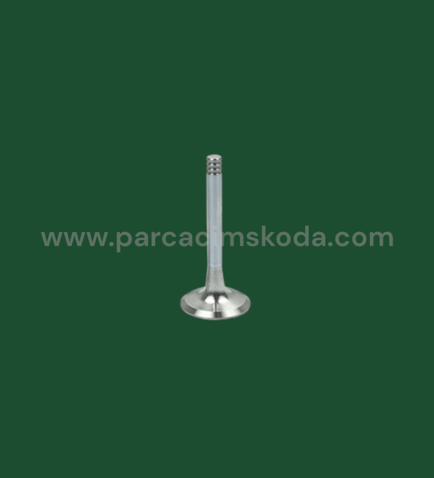 SUBAP EGSOZ  ( Adet )