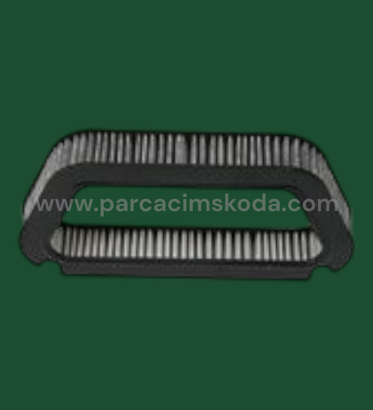 POLEN FİLTRESİ   ( Karbonlu )