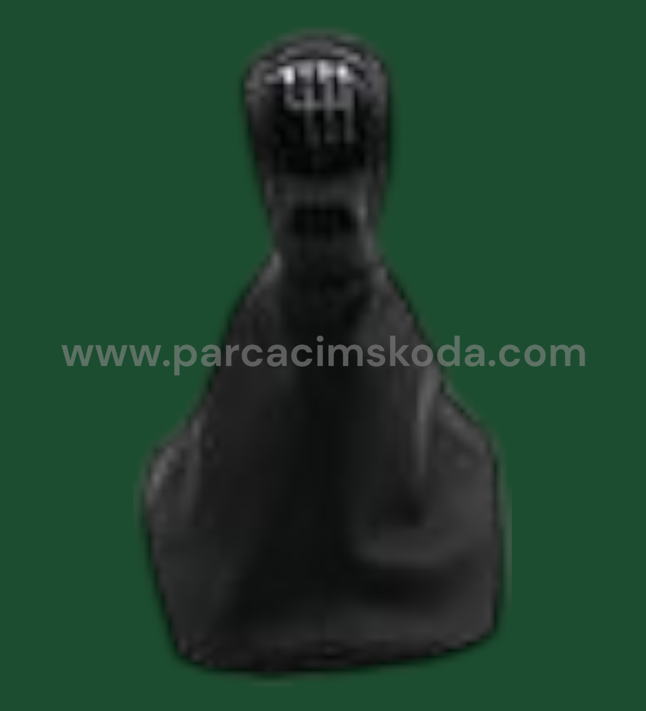 VİTES TOPUZU & KÖRÜĞÜ   Krom