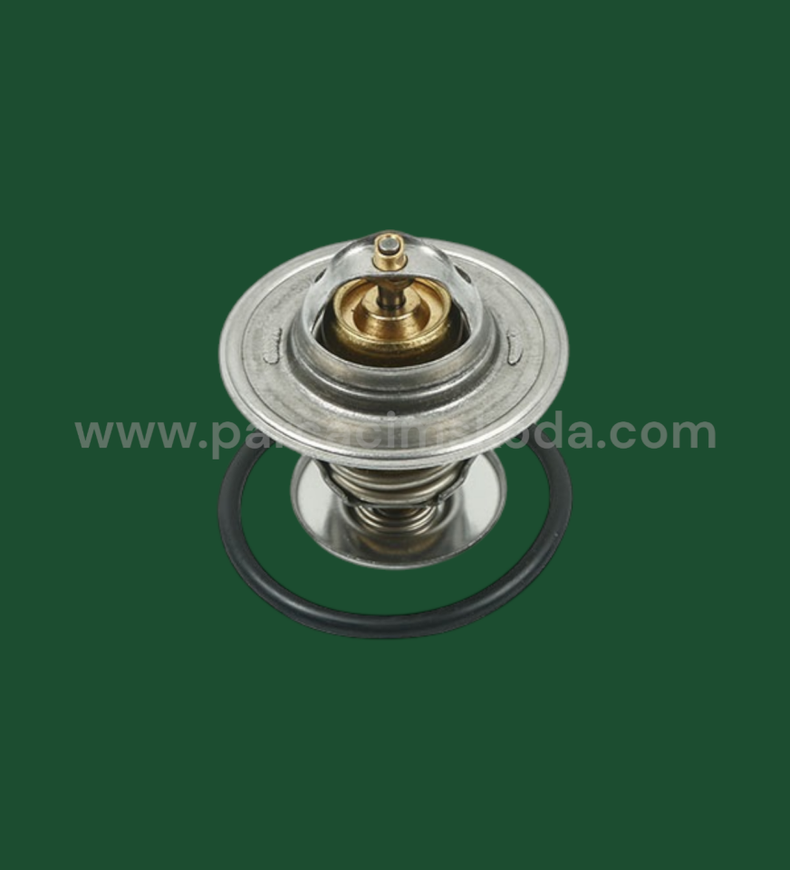 TERMOSTAT   87-102 C