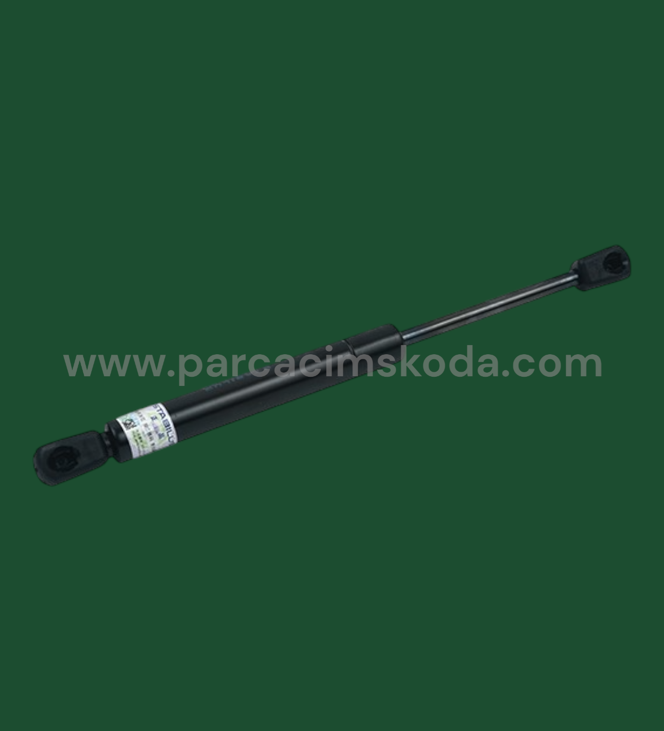 BAGAJ KAPAK AMORTİSÖRÜ